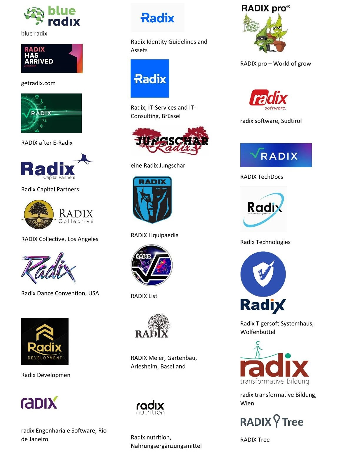 RADIX Logos
