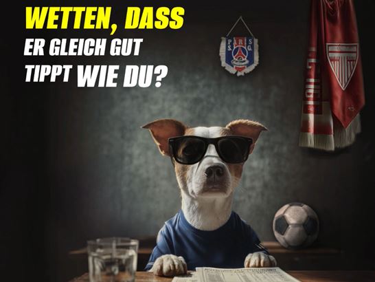 Kampagnenbild Meta Dog Kopie Kampagnenbild Meta Dog Kopie