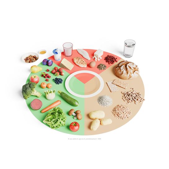 SGE Ausgewogener Teller Leer FR SGE Ausgewogener Teller Leer FR