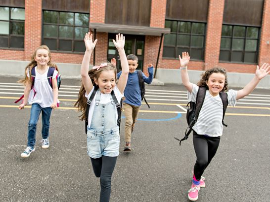 Shutterstock 1098660680 Shutterstock 1098660680