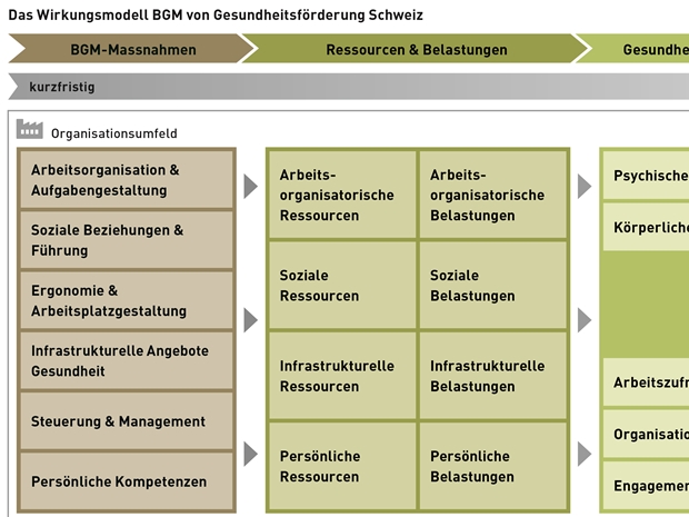© Gesundheitsförderung Schweiz: BGM-Wirkungsmodell für Schulkontext