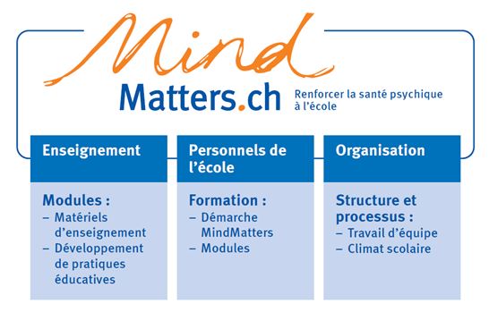 MindMatters structure MindMatters structure