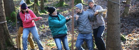 Teamarbeit von LP/SL Teamarbeit von LP/SL