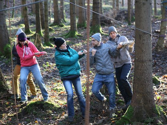 Teamarbeit von LP/SL Teamarbeit von LP/SL