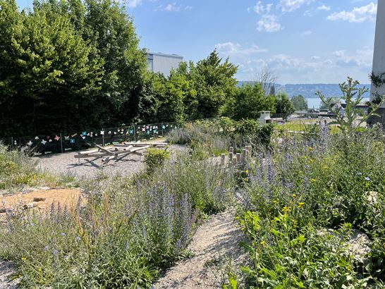 Schule Wädenswil Schule Wädenswil