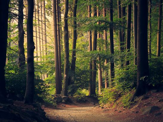 Zurich Parcours Vita Zurich Parcours Vita