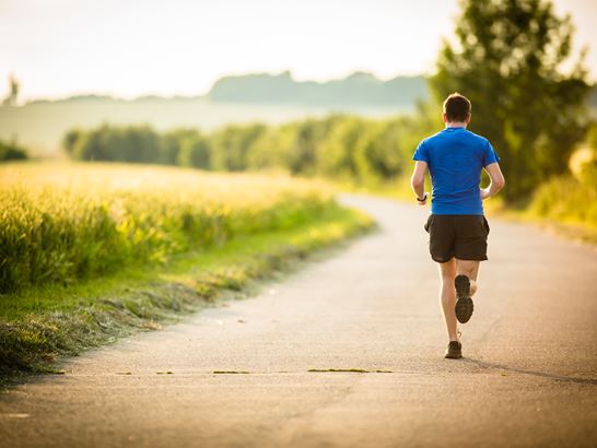 Alimentation et mouvement Alimentation et mouvement